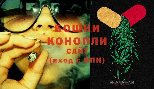 стафф Козельск