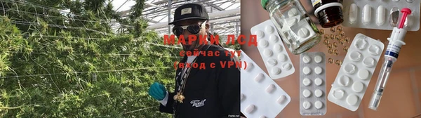 твердый Медногорск
