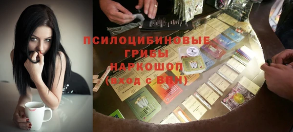 индика Мосальск