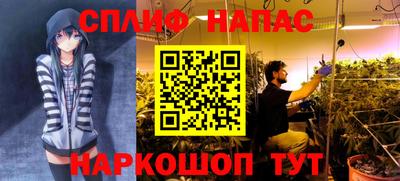 мяу мяу мука Бугуруслан