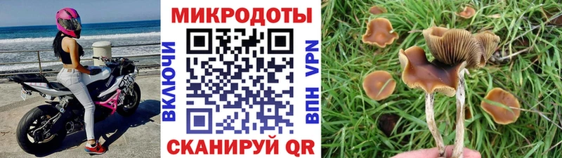 Галлюциногенные грибы Magic Shrooms  hydra как зайти  Ижевск 